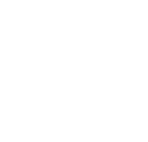 British International School